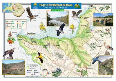 Tajo Internacional: Ruta Ornitológica